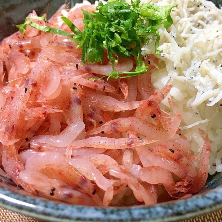 自然解凍で簡単！冷凍桜エビで作る生桜エビ丼